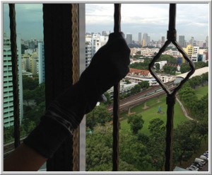 Window Grille Cleaning