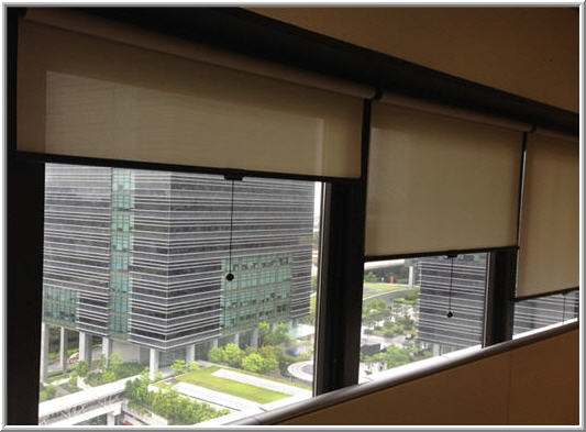 Window Shades for Privacy
